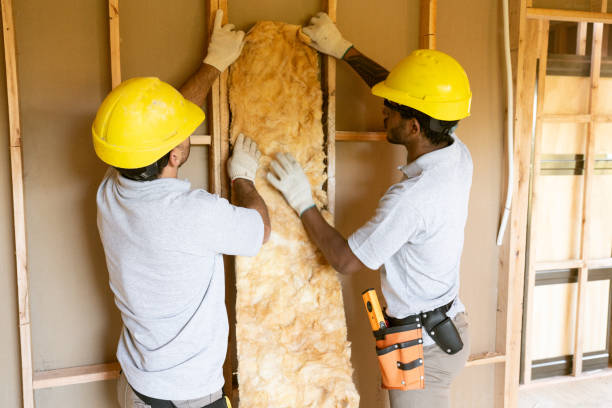 Insulation Repair Services in Red Wing, MN